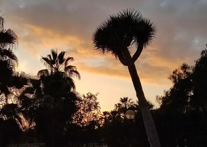 Апартаменты Paraiso Altemar, Duplex Americas *