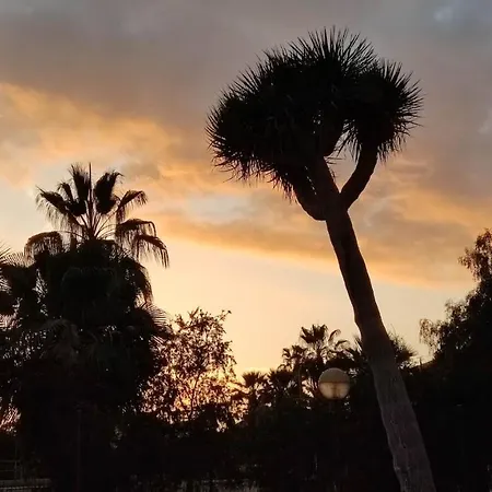 Apartmán Paraiso Altemar, Duplex Americas *